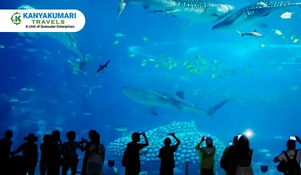 sea World Aquarium Rameswaram Tour Packages sea World Aquarium Rameswaram Tour Packages